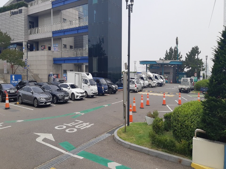 포춘베어