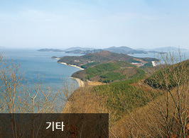 기타