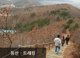 등산/트래킹